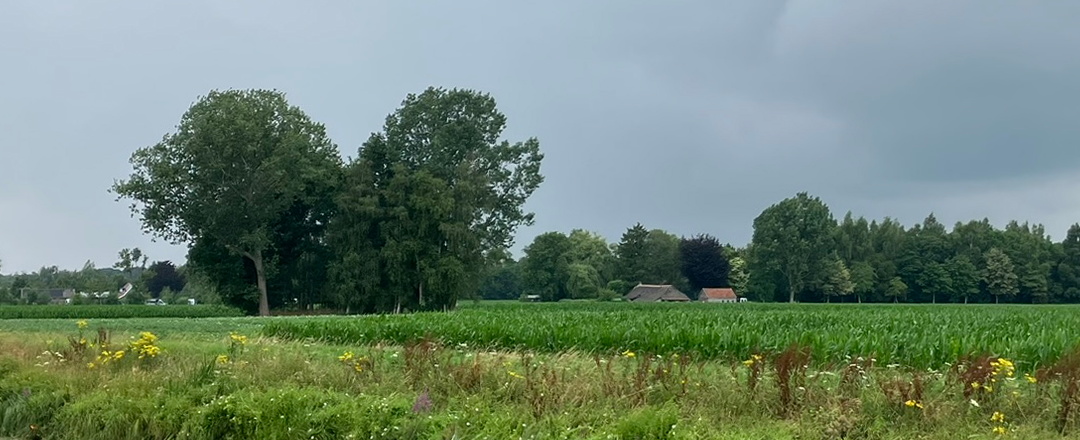Twee bomen die samen een hart vormen, met op de achtergrond de boerderij